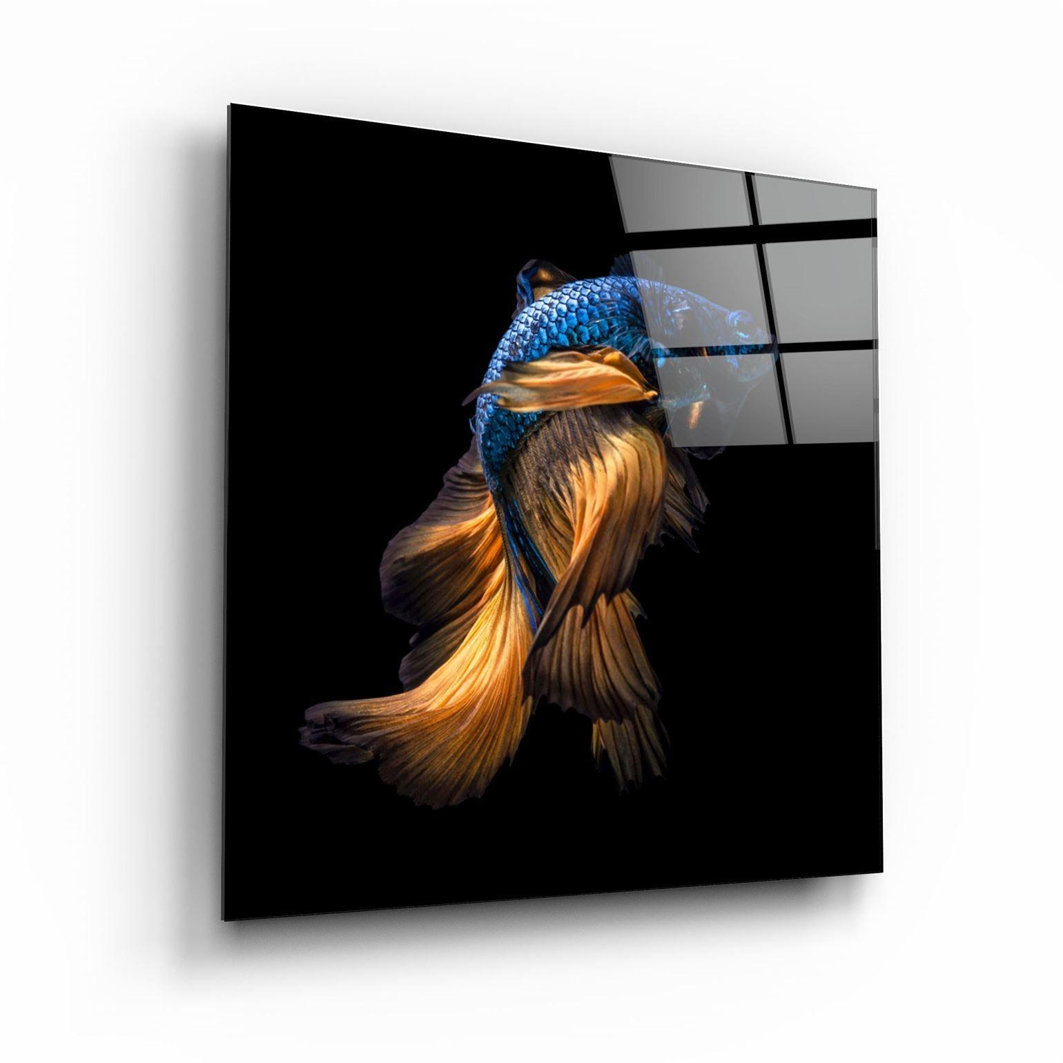 ・"Betta Fish"・Glass Wall Art - ArtDesigna Glass Printing Wall Art
