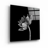Lotus in Shadow | Glass Wall Art