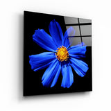 Blue Flower | Glass Wall Art