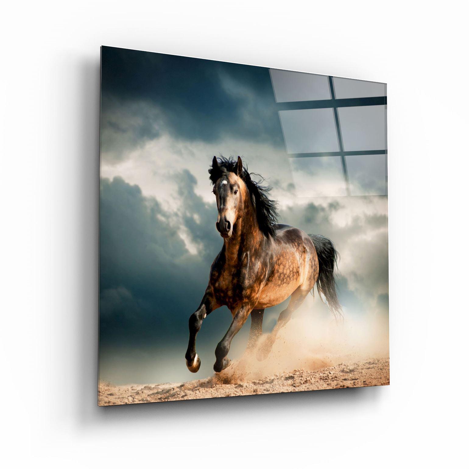 Running with the Herd | Glass Wall Art - Artdesigna