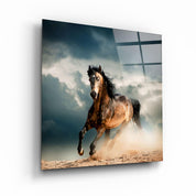 Running with the Herd | Glass Wall Art - Artdesigna